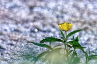 Nom du fichier=140710083715974.jpg
Taille du fichier=200Ko
Dimensions : 1024x678
Ajouté le : 10 Juillet 2014 140710083715974.jpg