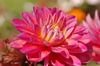 Nom du fichier=140712085129206621.jpg
Taille du fichier=322Ko
Dimensions : 1024x678
Ajouté le : 12 Juillet 2014 140712085129206621.jpg