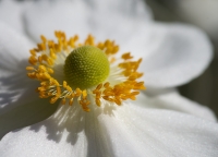 Nom du fichier=140918041520700635.jpg
Taille du fichier=272Ko
Dimensions : 1024x738
Ajouté le : 18 Septembre 2014 140918041520700635.jpg