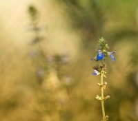 Nom du fichier=16090610445665284.jpg
Taille du fichier=90Ko
Dimensions : 1024x903
Ajouté le : 06 Septembre 2016 16090610445665284.jpg