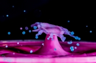 Nom du fichier=31579953953_3f4204e372_o.jpg
Taille du fichier=222Ko
Dimensions : 980x638
Ajouté le : 18 Janvier 2017 31579953953_3f4204e372_o.jpg