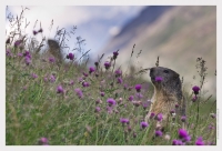 Nom du fichier=SntcuxCvND.jpg
Taille du fichier=317Ko
Dimensions : 1020x697
Ajouté le : 11 Août 2013 SntcuxCvND.jpg