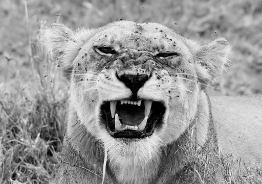 2011-09-18 / dedales
Par dedales - [ Vos series :	2 19' 58" S 34 34' 00" E ]
