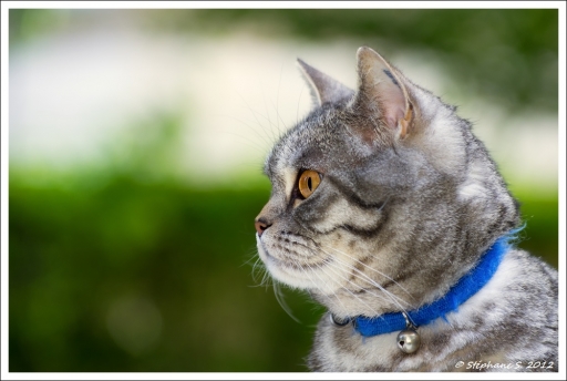 Juin 2012 - MouLaG Ã”fr
Juin 2012 - MouLaG Ofr
