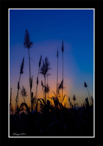 2012-08-25/kangoo974
Par kangoo974 - [ Coucher / Lever de soleil ]
