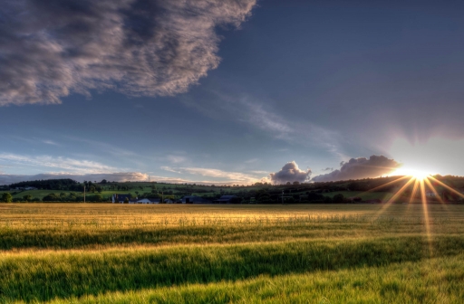 Juillet 2012 - irish_mike
Juillet 2012 - irish_mike
