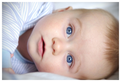 Juillet 2012-birgd
Juillet 2012 - birgd
