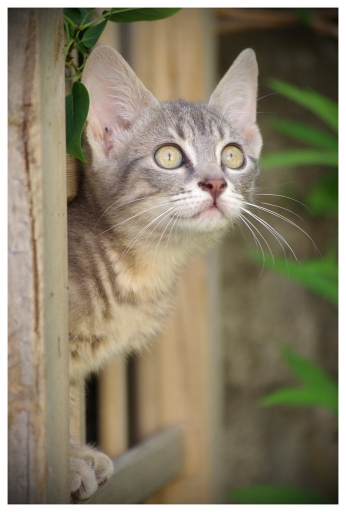 Juin 2012 - birgd
Juin 2012 - birgd
