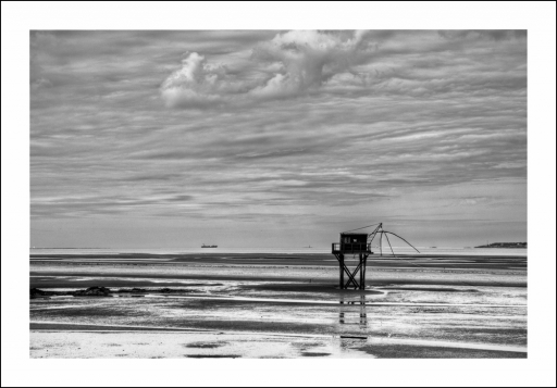 2012-07-11/ egoteabs
Par egoteabs dans [ Noir et Blanc, Sepia et desaturation partielle ]
