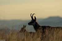 Nom du fichier=14092012-IMGP7392.jpg
Taille du fichier=143Ko
Dimensions : 1024x678
Ajouté le : 18 Septembre 2012 14092012-IMGP7392.jpg
