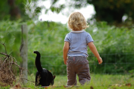 Bacchus - Janvier 
Janvier 2012 - Bacchus
