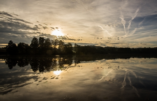 2013-10-04 / neosilencers
neosilencers  [ Reflets et ombres ]
