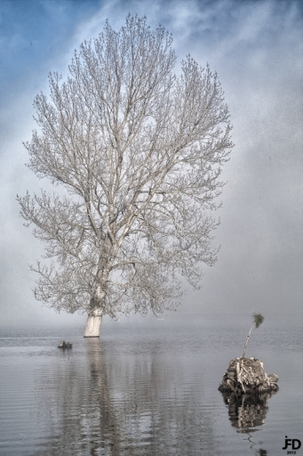 2012-02-27 / jeff67560
Par : Jeff67560 dans [Photos HDR et DRI ]
