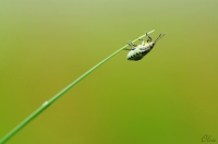 Nom du fichier=14090806554016322412507589.jpg
Taille du fichier=110Ko
Dimensions : 999x662
Ajouté le : 12 Septembre 2014 14090806554016322412507589.jpg