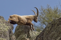 Nom du fichier=280454IMGP20545.jpg
Taille du fichier=348Ko
Dimensions : 1020x680
Ajouté le : 05 Septembre 2014 280454IMGP20545.jpg