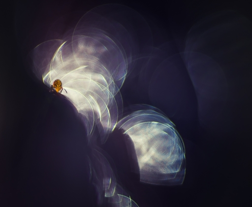 2018-03-03 / Olilignan
Olilignan [vos series - un monde fantastique 5]
