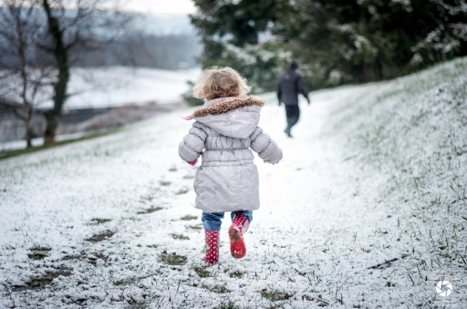 2019-02-03 / Nicolas03
Nicolas03 [Portrait]
