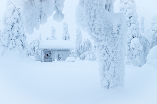 2019-03-24 / Ludovic
Ludovic [vos series - Laponie 2019 part1]
