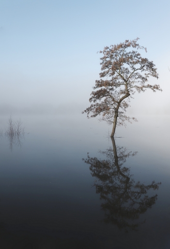 2020-02-09 / Charlysouho
Charlysouho [Paysages et éléments naturels]
