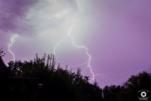 2020-06-28 / Nicolas03
Nicolas03 [Paysages et éléments naturels]
