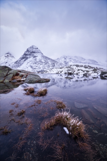 2021-01-23 / Pierrot73210
Pierrot73210 [Paysages et éléments naturels]
