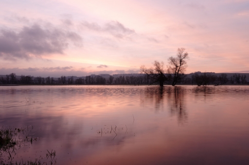 2021-01-31 / CharlySouho
CharlySouho [Paysages et éléments naturels]
