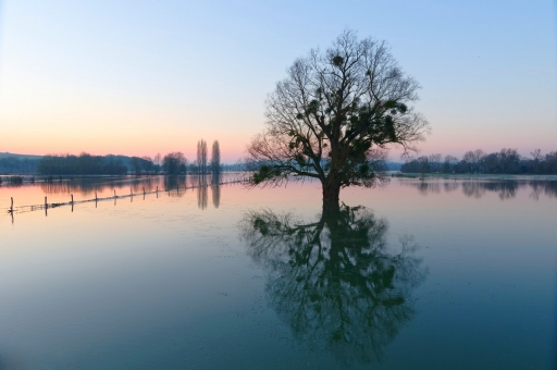 2021-02-14 / CharlySouho
CharlySouho [Paysages et éléments naturels]
