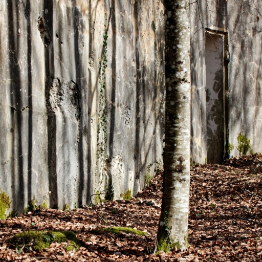 2021-02-28 / CharlySouho
CharlySouho [Environnement urbain et constructions humaines]
