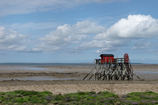 2021-07-18 / CharlySouho
CharlySouho [Paysages et éléments naturels]
