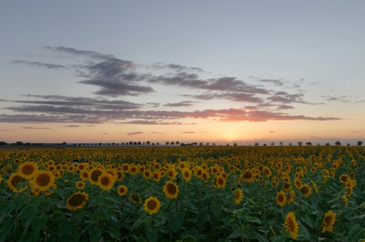 2021-08-01 / CharlySouho
CharlySouho [Paysages et éléments naturels]

