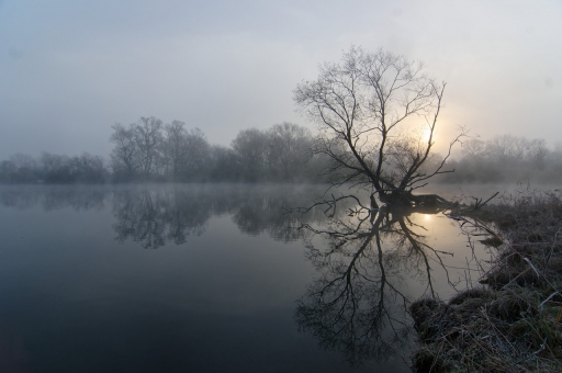 2022-02-13 / charlysouho
charlysouho [Paysages et éléments naturels]
