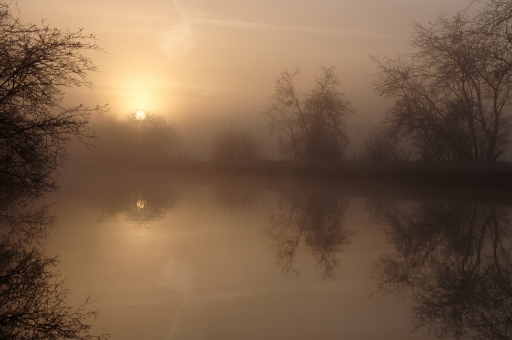 2022-02-20 / charlysouho
charlysouho [Paysages et éléments naturels]
