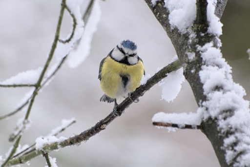 2023-01-22 / LeBernard
LeBernard [Faune sauvage]
