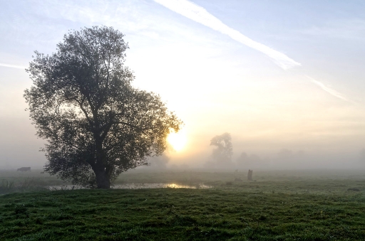 2017-09-24 / charlysouho
charlysouho [Paysages et elements naturels]
