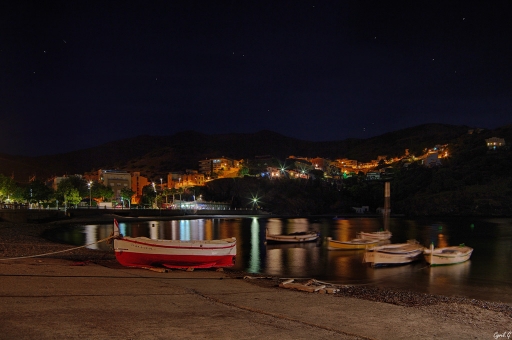 2018-11-03 / CarpoDingo
CarpoDingo [Paysages et elements naturels]
