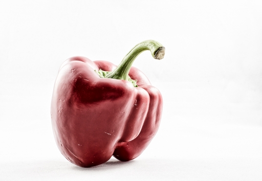 2019-03-21 / TOFTOF
TOFTOF [Nature morte]
