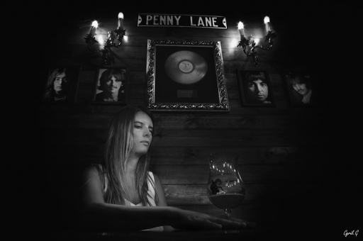 2020-02-23 / CarpoDingo
CarpoDingo [Environnement urbain et constructions humaines]
