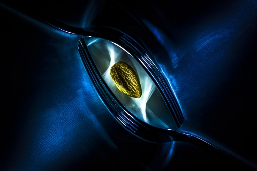 2020-04-19 / Opus21
Opus21 [Le défi créatif de mars avril]
