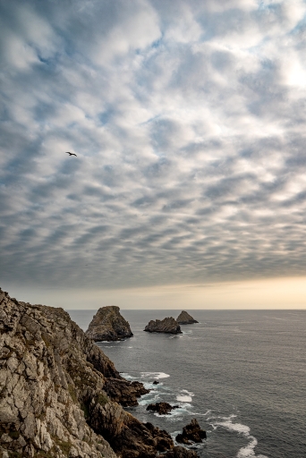 2023-08-06 / Neosilencers
Neosilencers [Paysages et éléments naturels]
