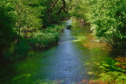 2024-05-26 / Dan2
Dan2 [Paysages et éléments naturels]
