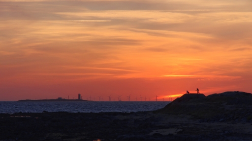 2023-09-17 / papa
papa [Paysages et éléments naturels]
