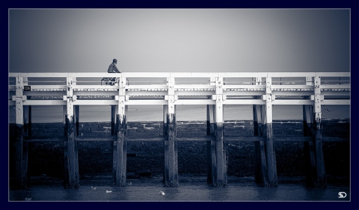 2019-11-17 / SerDeber
SerDeber [vos séries - Mer bleue]
