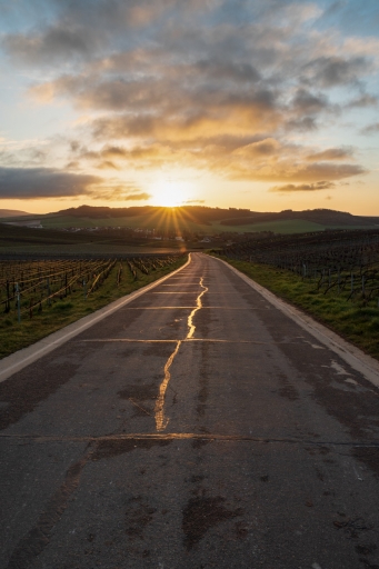 2021-03-28 / ZeGaby
ZeGaby [Paysages et éléments naturels]
