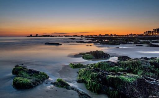 2019-08-25 / Mickmac
Mickmac [Environnement urbain et constructions humaines]
