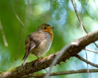 Nom du fichier=18100606502165769.jpg
Taille du fichier=458Ko
Dimensions : 1280x1024
Ajouté le : 06 Octobre 2018 18100606502165769.jpg