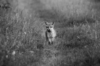 Nom du fichier=200620072258193702.jpg
Taille du fichier=332Ko
Dimensions : 1200x798
Ajouté le : 20 Juin 2020 200620072258193702.jpg