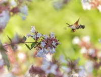 Nom du fichier=22012207384325901617760467.jpg
Taille du fichier=400Ko
Dimensions : 1164x900
Ajouté le : 29 Janvier 2022 22012207384325901617760467.jpg