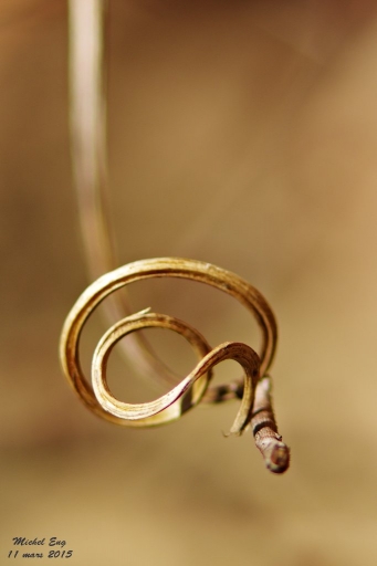 2015-08-08 / michel67
michel67 - [ Surprenant / Amusant ]
