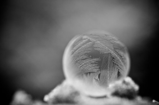 2017-01-10 / Marceline
Marceline / [Frozen Bubbles]
