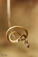 Nom du fichier=11_03_2015-tournicotis-16-4a59b31.jpg
Taille du fichier=62Ko
Dimensions : 683x1024
Ajouté le : 07 Août 2015 11_03_2015-tournicotis-16-4a59b31.jpg